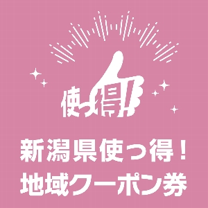 使っ得