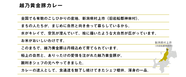 越乃黄金豚カレー