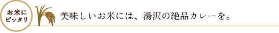 湯沢の絶品カレー